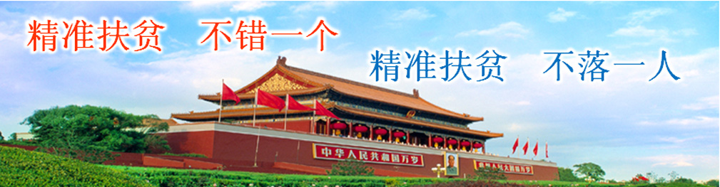 智慧網(wǎng)格,智慧城市,智慧社區(qū),精準(zhǔn)扶貧,農(nóng)村電商,網(wǎng)格化,網(wǎng)格化管理,智慧養(yǎng)老